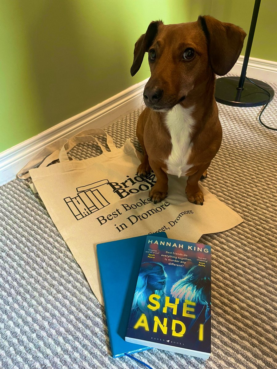 _HanKing's tweet image. 🚨BANK HOL #GIVEAWAY!🚨

Win a copy of #SheAndI, an adorable matching notebook, plus a super cute tote bag to carry them around (thanks to @BridgeBooksDro1 )!

🔵 Like, RT and follow 
🟡 Random winner chosen Fri 14 April (UK only)
🔵Dog not included (she is my muse)