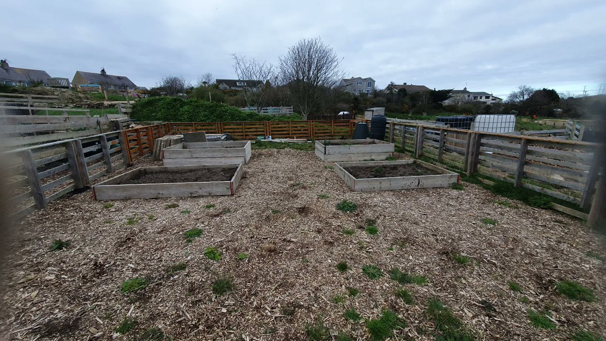 RobPentrefelin's tweet photo. Seven days ago, we were offered an allotment plot, prity barren and a little unloved.
After a busy few days there's new beds installed, manure carried in, potatoes, beans, peas  beetroot, spinach, garlic, red and white onions planted. #allotmentlife #allotment #growyourown #Gyo https://t.co/9wpjTujUs9