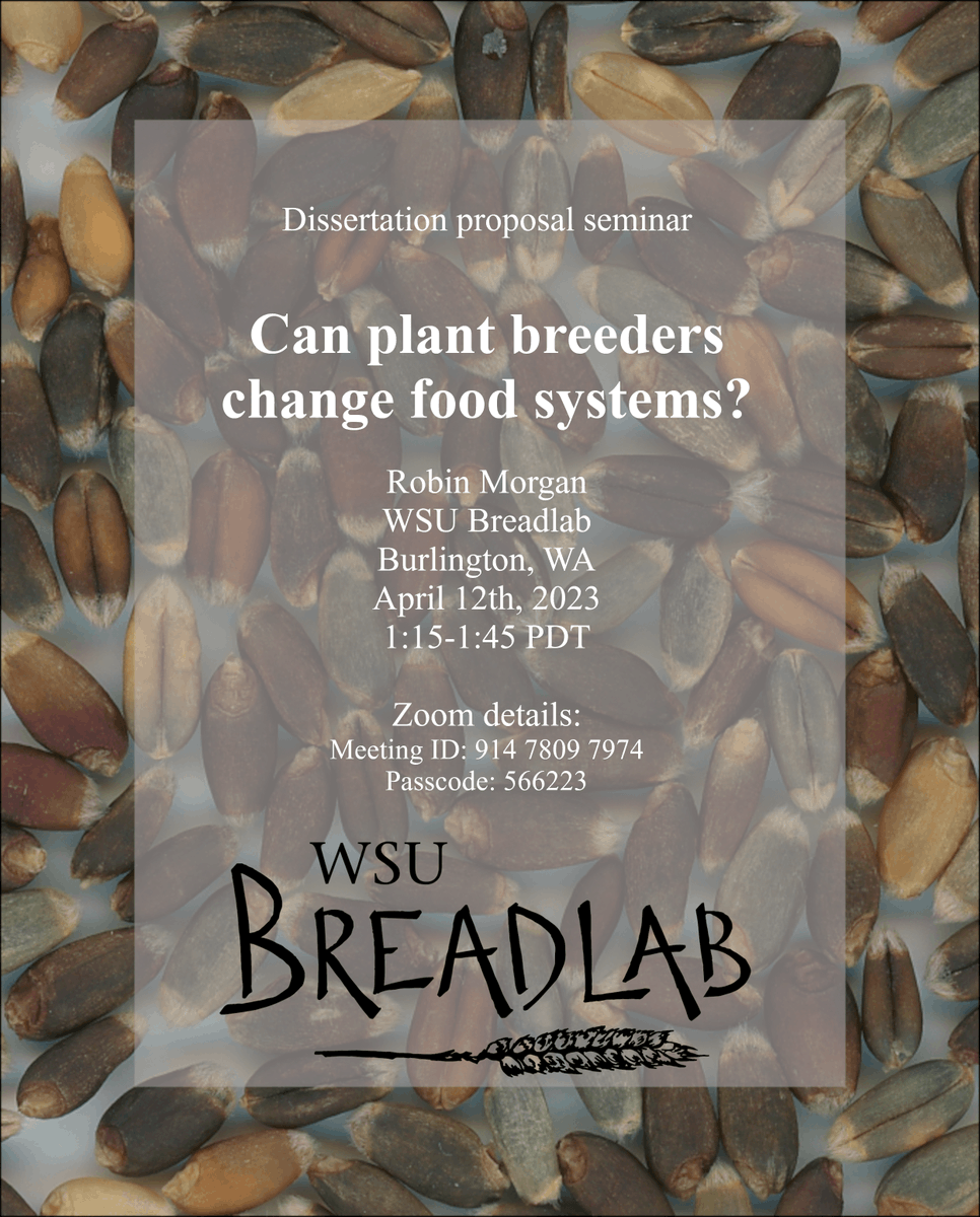 soiltosociety's tweet image. Join us in attending Robin Morgan's #dissertation #proposal seminar on Wednesday, April 12th from 1:15-1:45pm PDT.  Robin is a Ph.D. student at the #wsubreadlab in Mt. Vernon, who works closely with our #soiltosociety team.

See poster for the details necessary to zoom in!