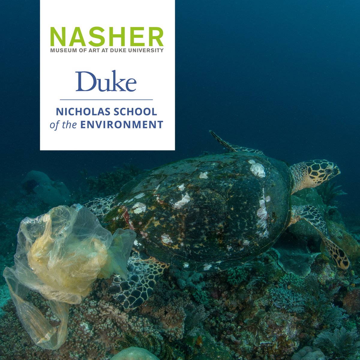 Duke Environment tweet media
