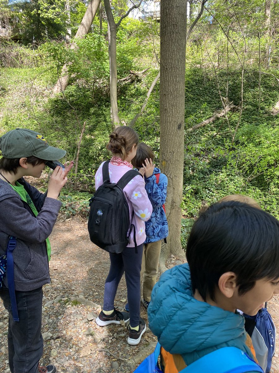 UrbanAdvSquad's tweet image. Sometimes investigations are super #hyperlocal. #Microscopes #HandsOnLearning #OutdoorEd #OutdoorEducation #ThisIsOutdoorLearning #NatureNearby @dcpublicschools @dcpcsb