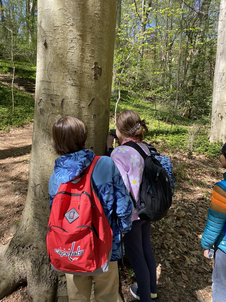 UrbanAdvSquad's tweet image. Sometimes investigations are super #hyperlocal. #Microscopes #HandsOnLearning #OutdoorEd #OutdoorEducation #ThisIsOutdoorLearning #NatureNearby @dcpublicschools @dcpcsb