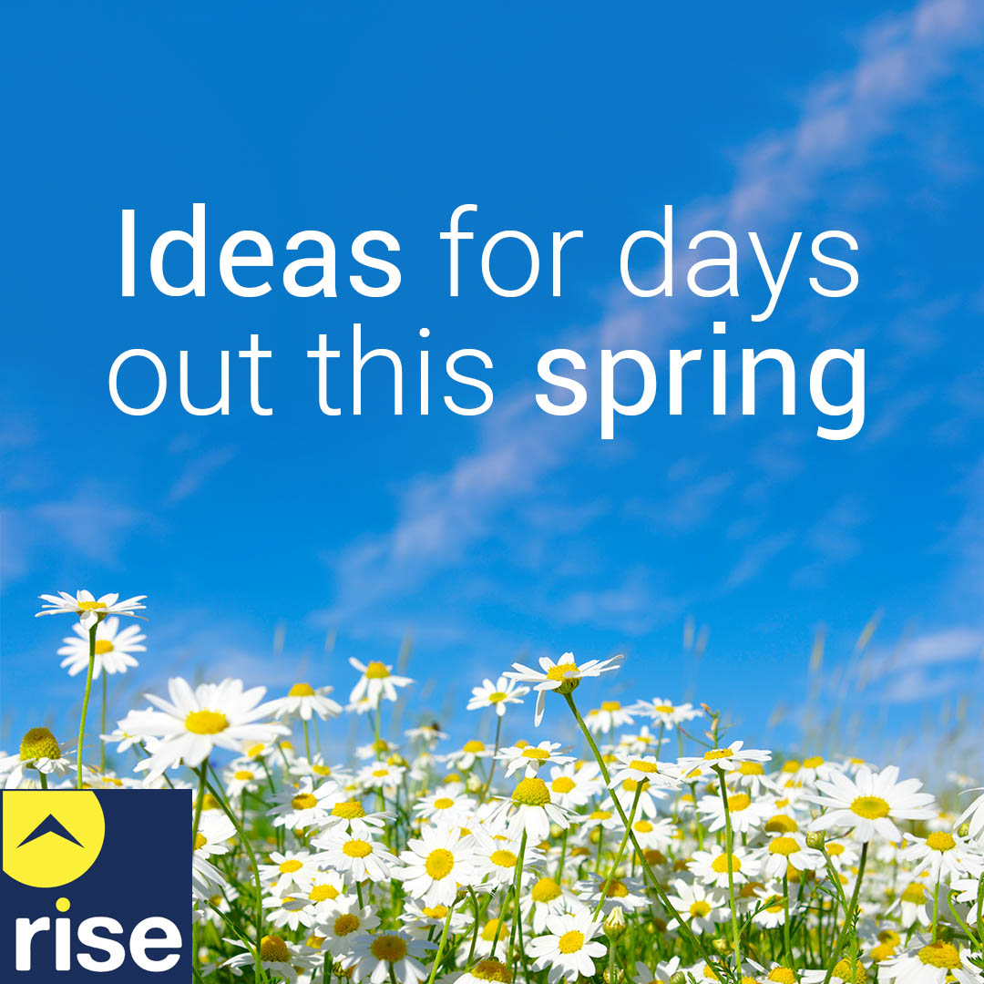 Need some ideas for a day out this spring season?​

Take a look at some suggestions of what you can do? ​

nationaltrust.org.uk