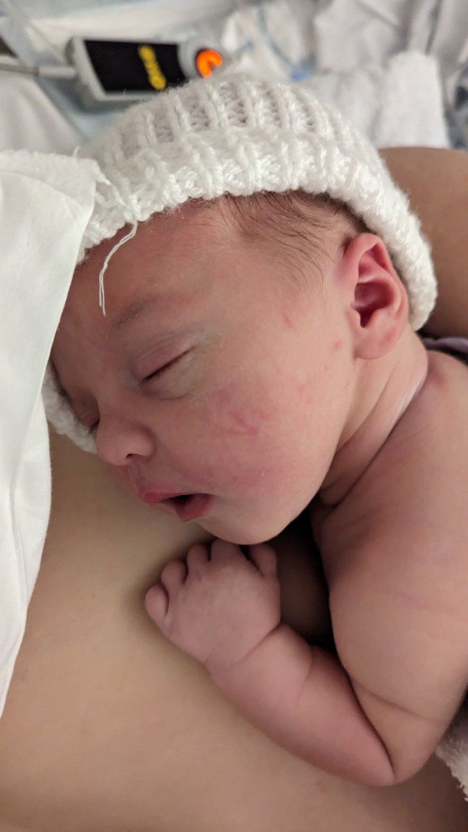 AshAPCustoms's tweet image. Today, I became a dad. 

This is Finley 😍