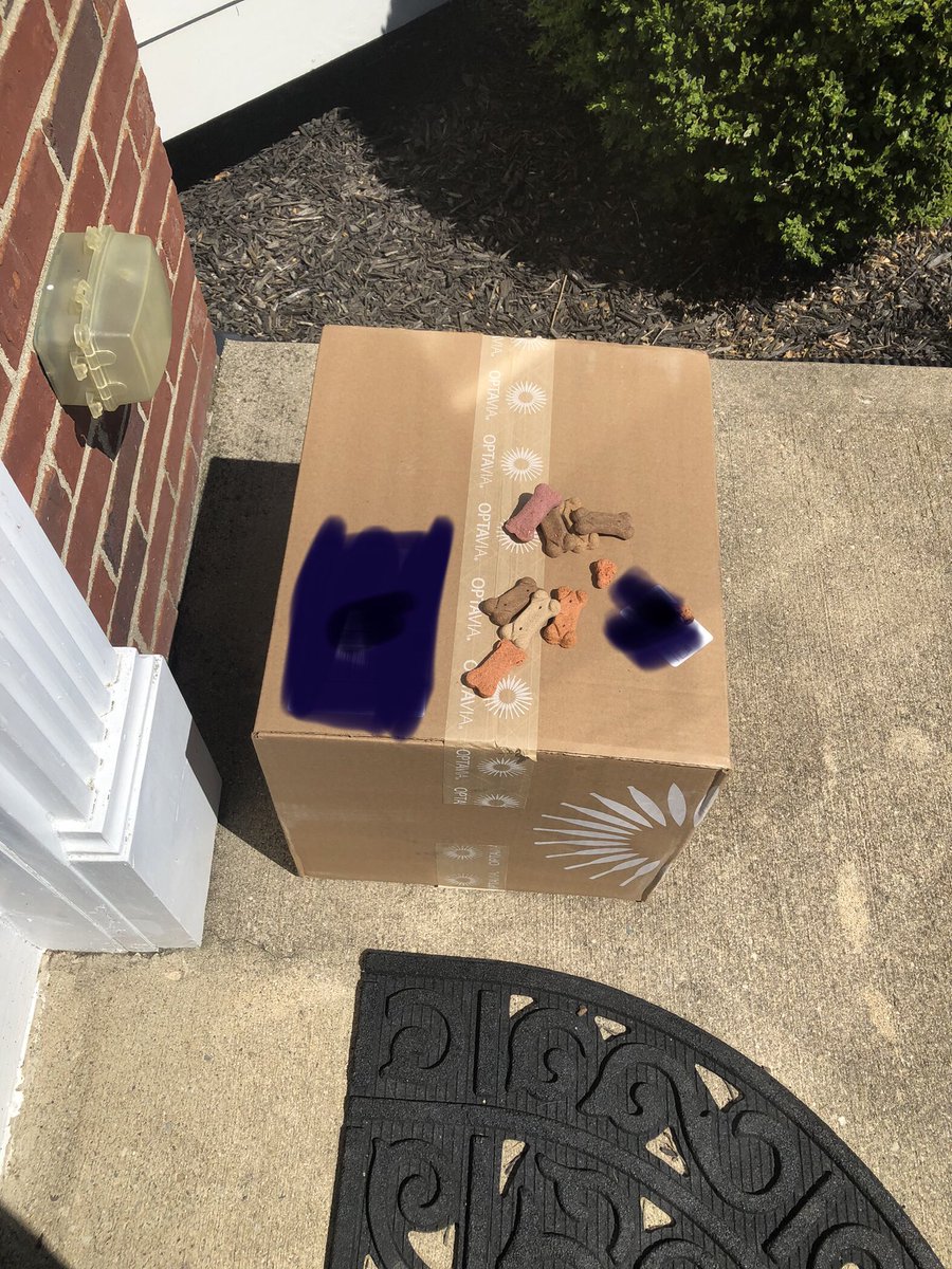 9 out of 10 dogs use <a href="/UPS/">UPS</a>   You should too.