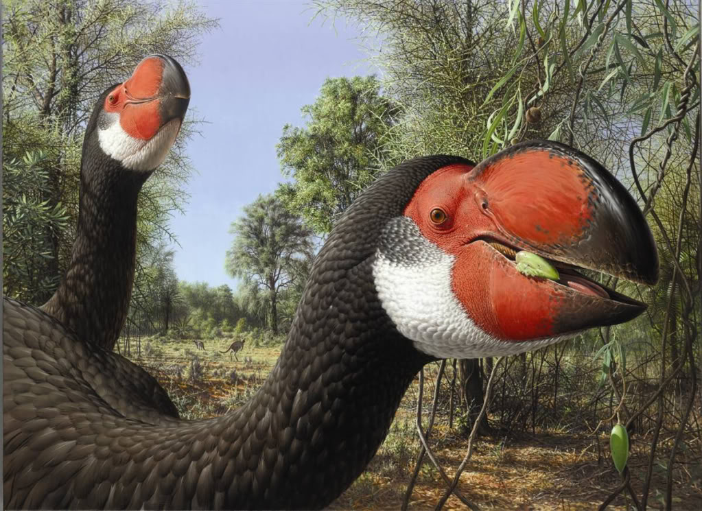 Extinct Animals 🦣🦤 tweet media