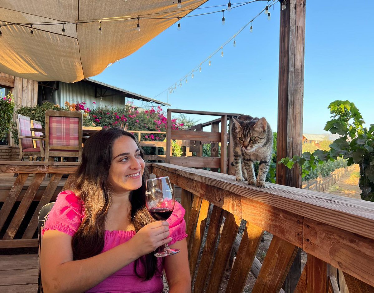 Maira Garcia tweet media