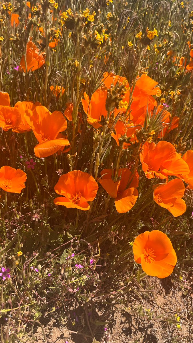 Christian Alvarez tweet media