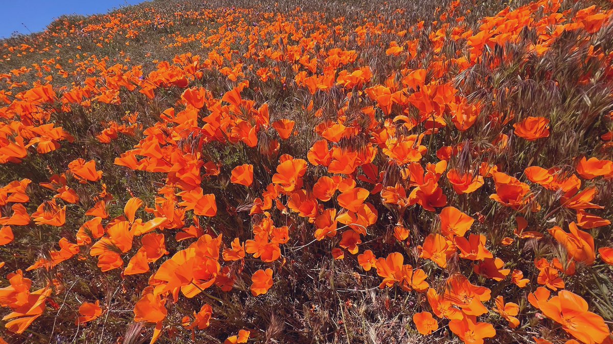 Christian Alvarez tweet media