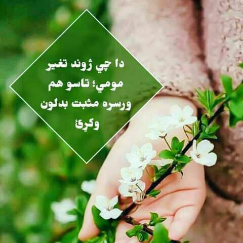 'دا چې ژوند تغیر مومي؛ تاسو هم ورسره مثبت بدلون وکړئ.' 🍀🌼🍀 ‌‌‌‌‌‌‌‌‌‌‌‌‌‌‌‌‌‌‌‌‌‌‌‌‌ ‌‌‌‌‌‌‌‌‌‌‌‌‌‌ #ژوند #پښتوادب