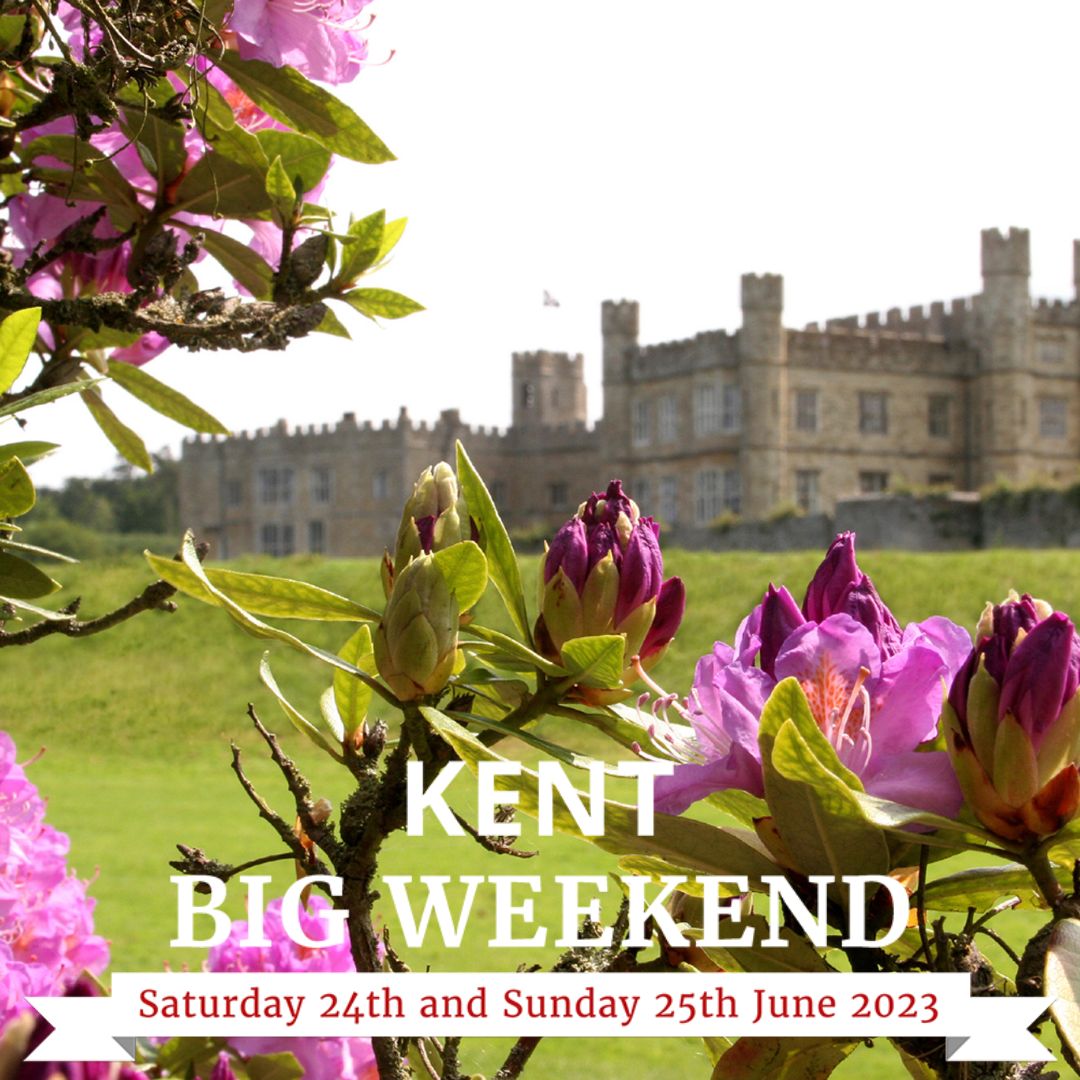 Visit Kent Biz tweet media