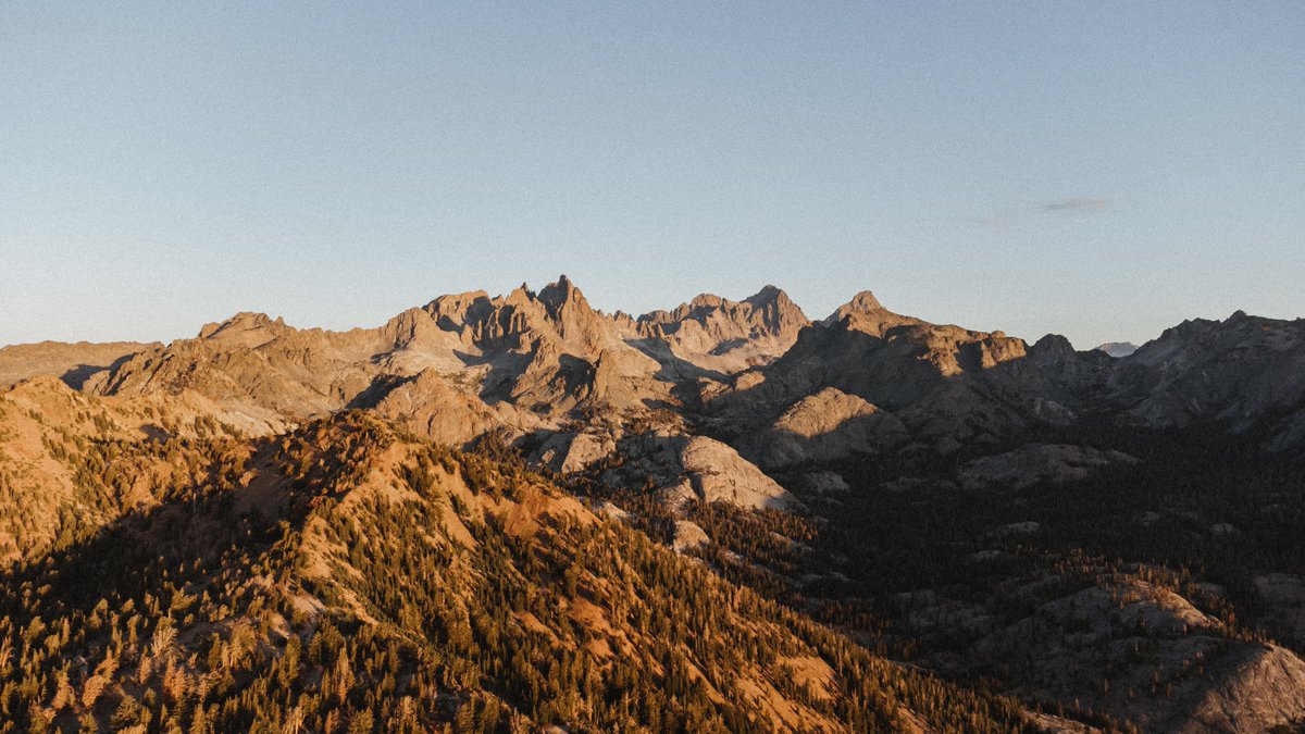 Alexis Malin tweet media