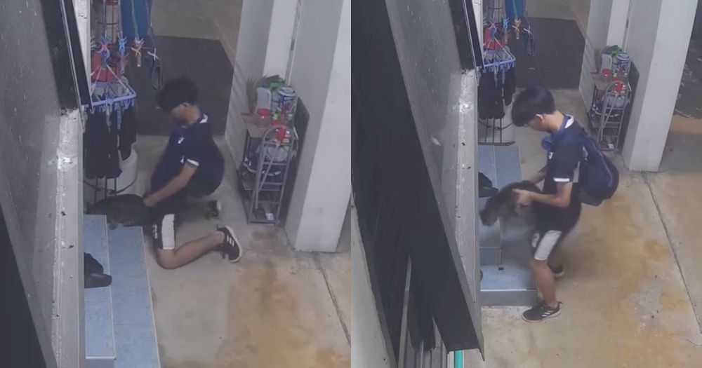 MothershipSG's tweet image. Boy spotted pulling pants down &amp;amp; humping cat in Bukit Panjang bit.ly/40WMhgD