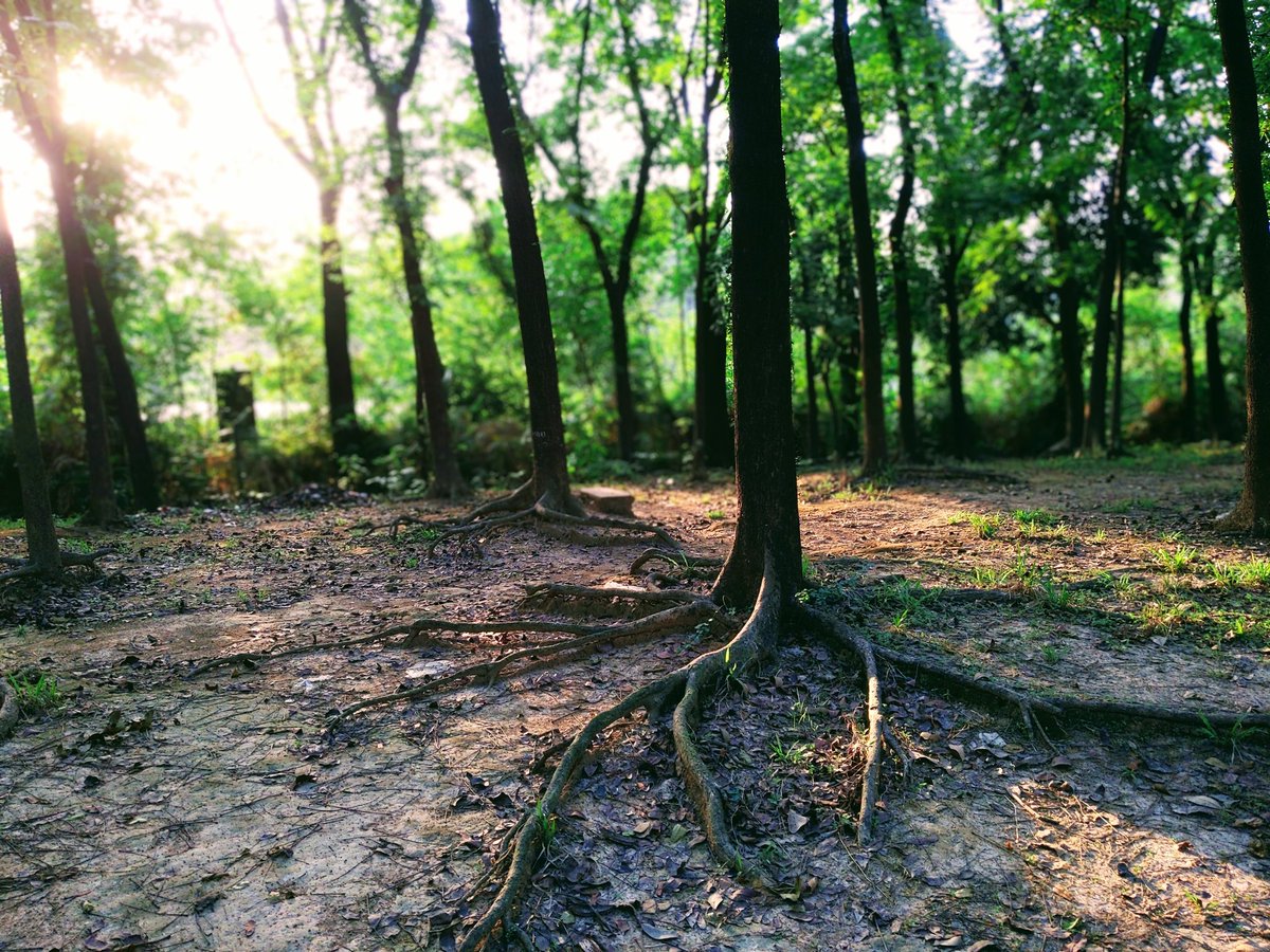 EEstiaq's tweet image. "Capture life's precious moments on-the-go with just your smartphone!
mobilephotography #snapandgo #smartphonephotography 🌅📸"