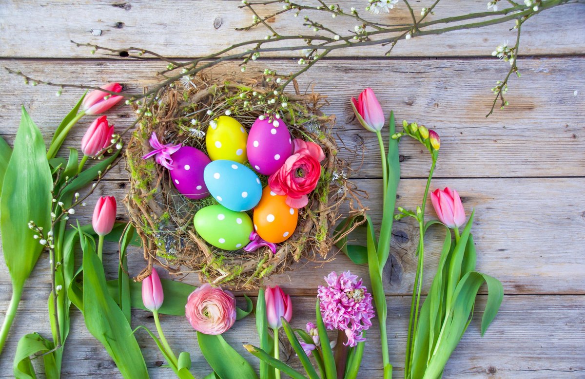 Happy Easter from all of us at NWSSP