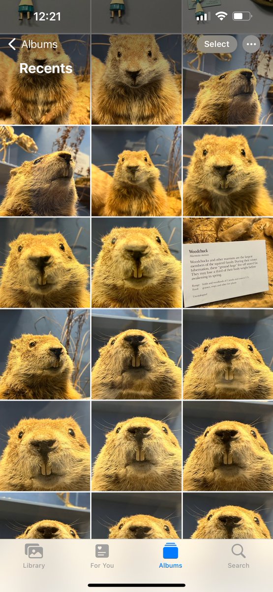 social media manager camera roll call