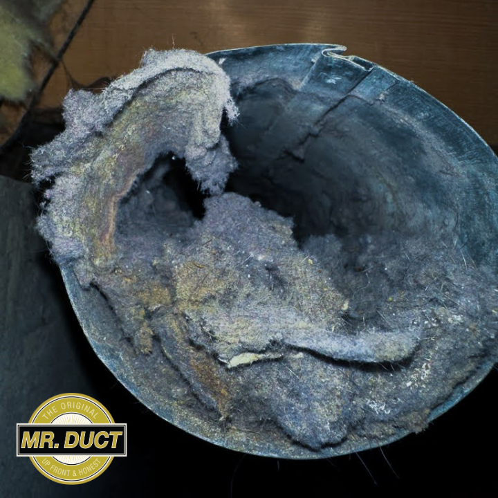 Have you noticed that your clothes take longer to dry than normal?

Schedule your dryer vent cleaning service with Mr. Duct today and save $20!

#dryerventcleaning #lint #chicagoland #mrduct #hvac #fireprevention #chicago