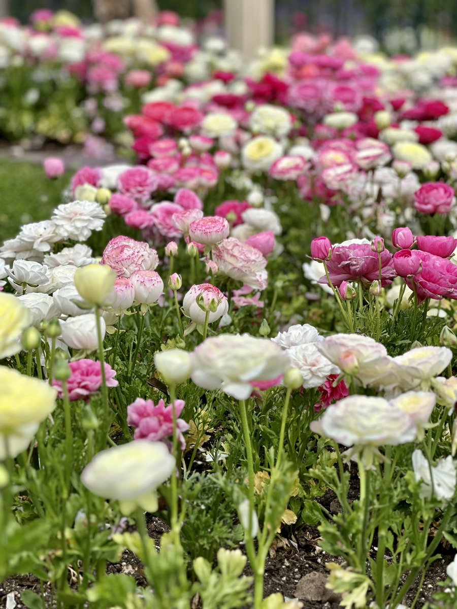 DeeMagicGurl tweet media