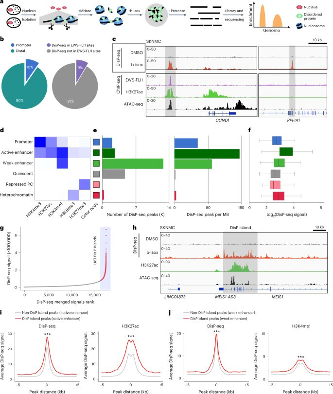DisP-seq reveals the genome-wide functional organization of DNA-associated disordered proteins go.nature.com/41izLrs