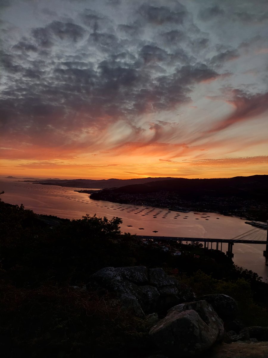 𝕍𝕚𝕡𝕖𝕖𝕩 tweet media