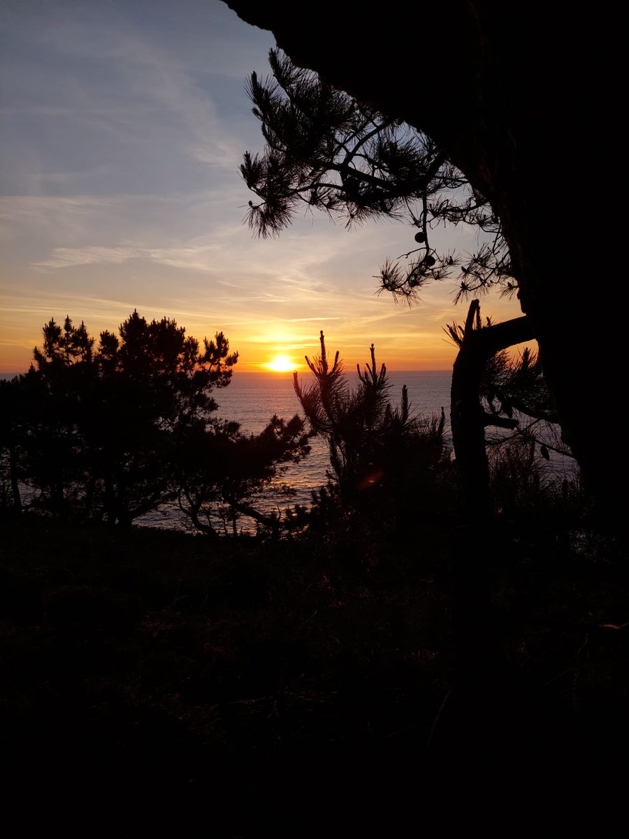 Tomar un poco de Galicia 🌊