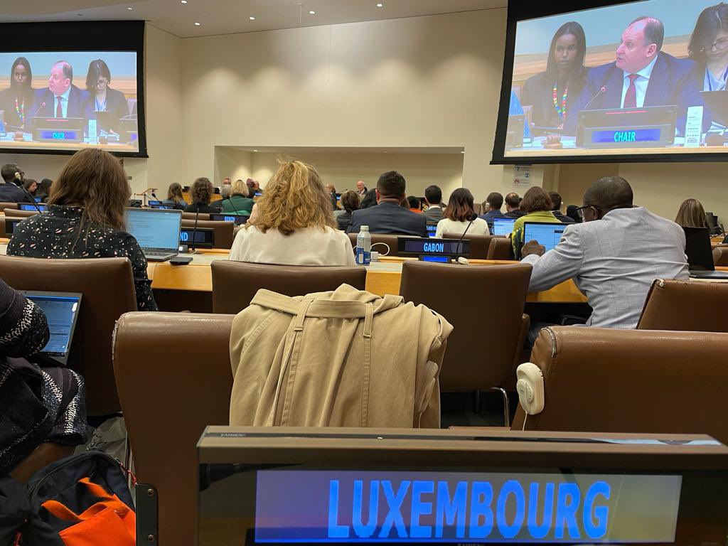 The 5⃣6⃣th session of the Commission on Population & Development is now open!

#CPD56 will focus on #education & #sustainabledevelopment. #Luxembourg🇱🇺 is committed to ensuring that the #PeopleofTomorrow have access to quality education, incl. comprehensive sexuality education!