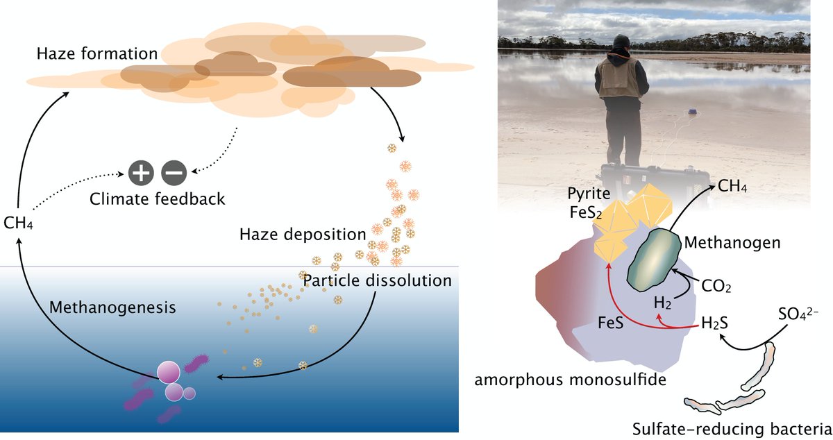 Network for Life Detection (NfoLD) tweet media