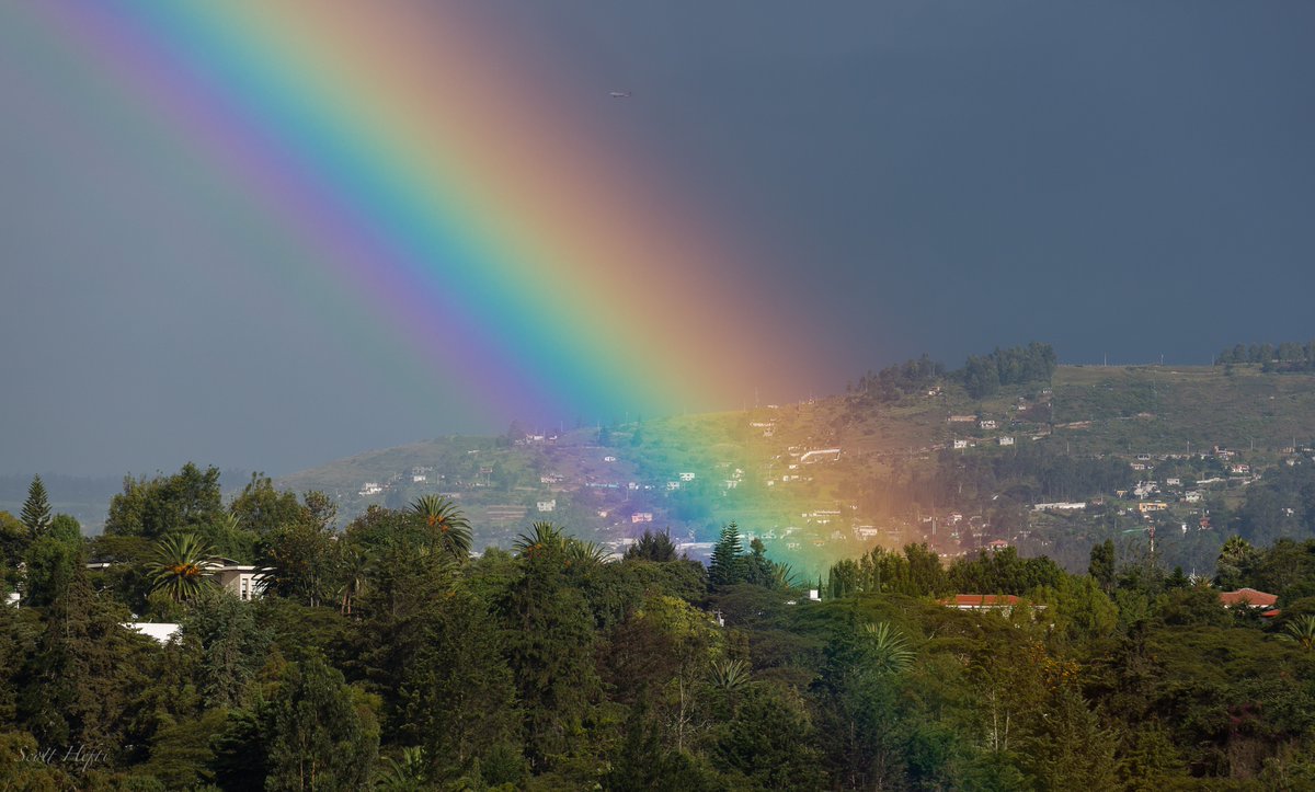 AvellarPaulo's tweet image. Bom dia a todos! / Good morning to all! …