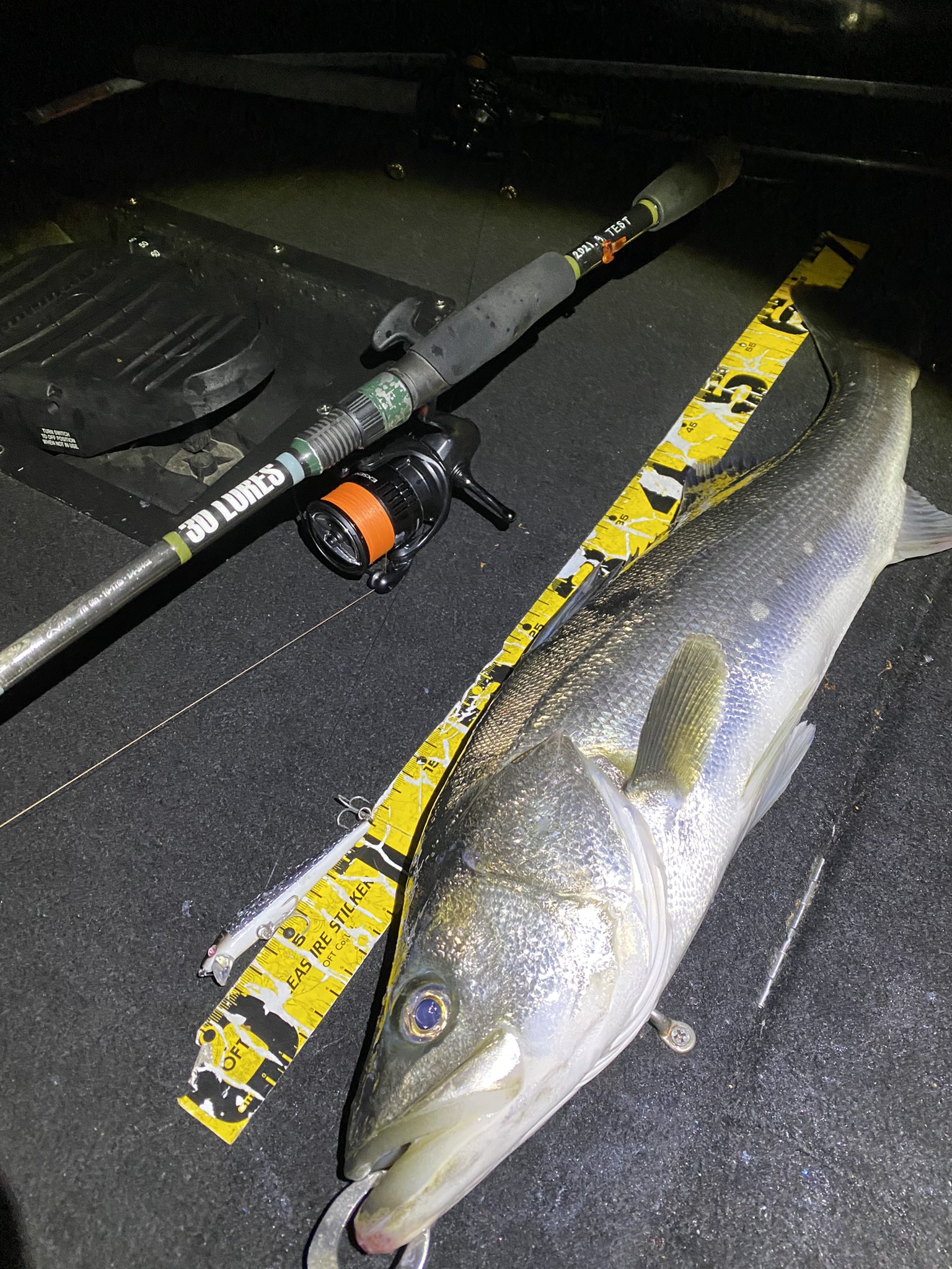 バスボートシーバス - Search / X