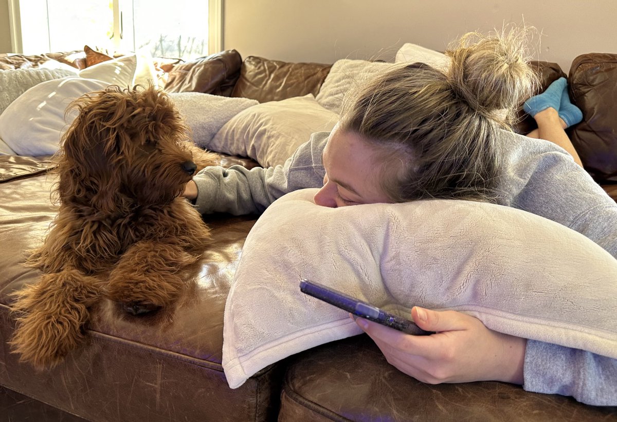 _supcaroline's tweet photo. Bear can’t vote in the BOT election but he told me if he could he’d vote Houston, Krieger, &amp; Moriarity 🫡

He also told me I need a hairbrush

Request your ballot here: https://t.co/ppE8ewRPk6 https://t.co/euEkWLMPIS