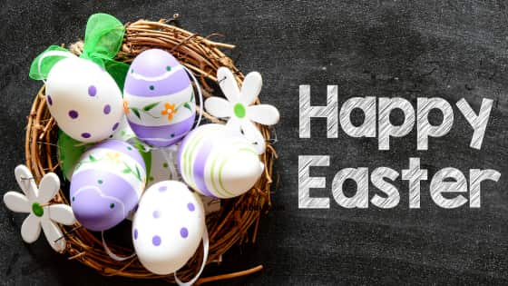 SolisWare tweet media