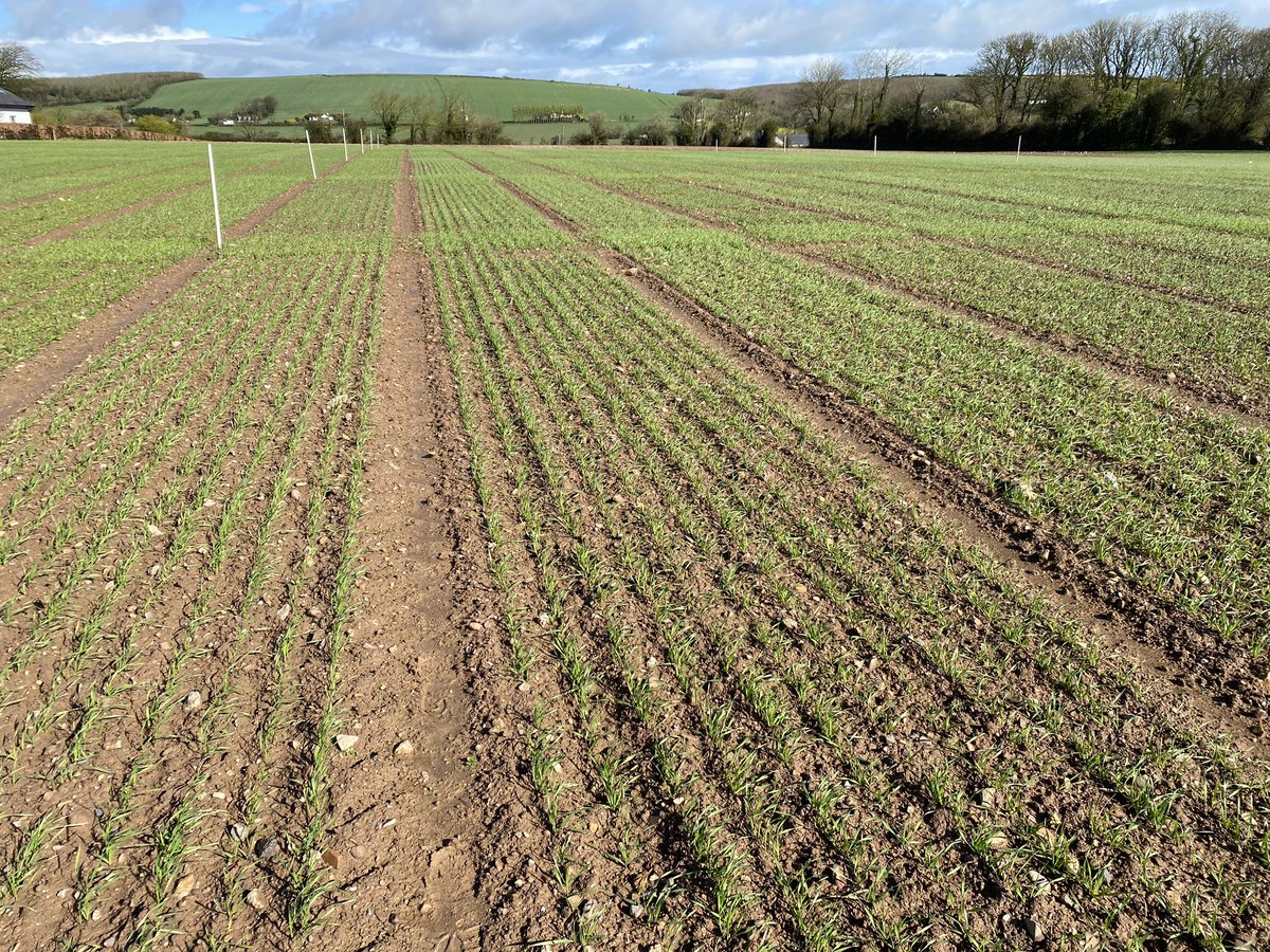 John Dunne tweet media