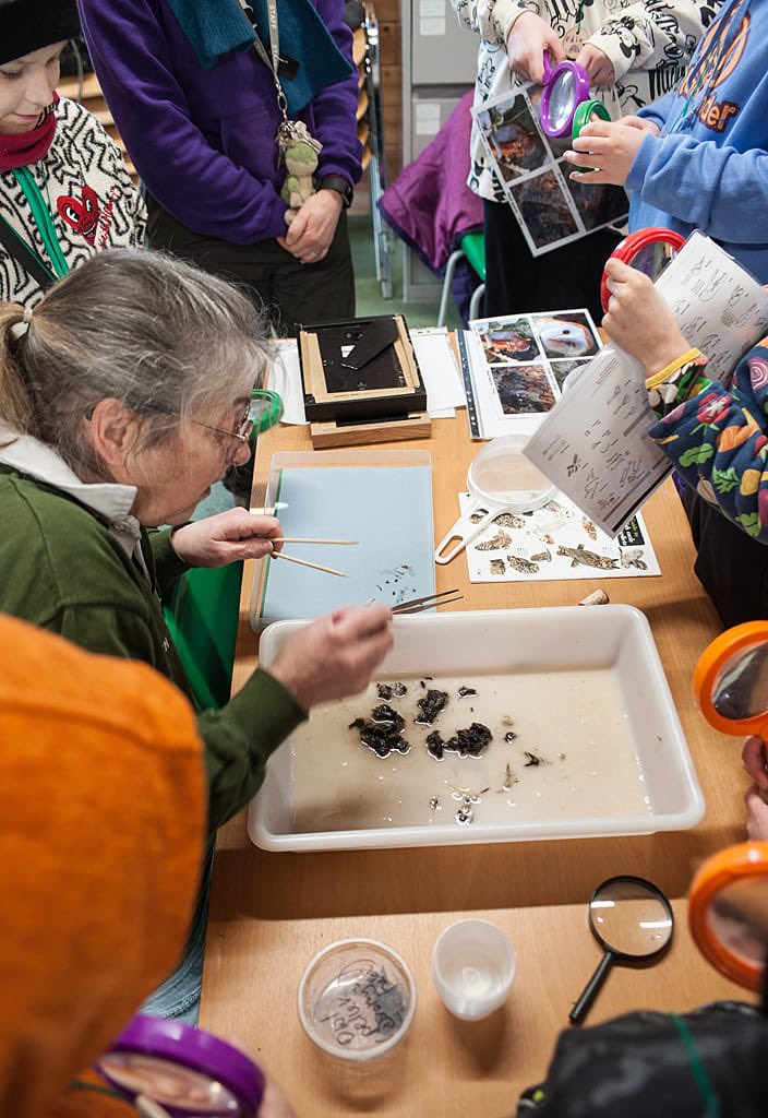 Been a busy winter - one of our favourite sessions was in March helping <a href="/bbowt/">BBO Wildlife Trust</a> Young Rangers project at College Lake Nature Reserve. Rangers had a go at making a Barn Owl box and we had great fun dissecting Barn Owl pellets looking for prey mammal skeletons 👍 great fun …