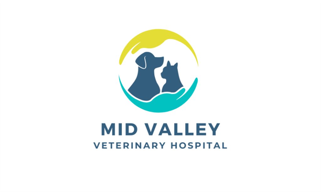 iHireJobAlerts's tweet image. Hot Job: Veterinarian (#VanNuys, California) MID VALLEY VETERINARY HOSPITAL #job #AnesthesiaMonitoring #AnimalHandling #SurgicalPreparation #SoftTissueSurgery #DigitalXRays #Anesthesia #Orthopedic #XRays #Surgery go.ihire.com/ctj5r