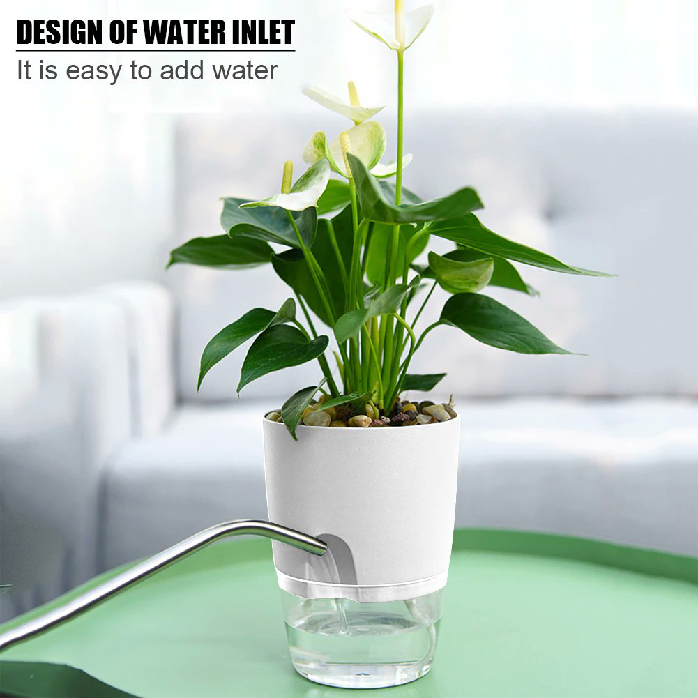 Looking for a new plant pot? This one is self watering, easy to use, convenient, and makes it so you don't have to water everyday. Check out our website to get it delivered directly to you! plantsgaloreandmore.com/product/2-laye… #flowerpot #planter #selfwateringplanter #selfwatering