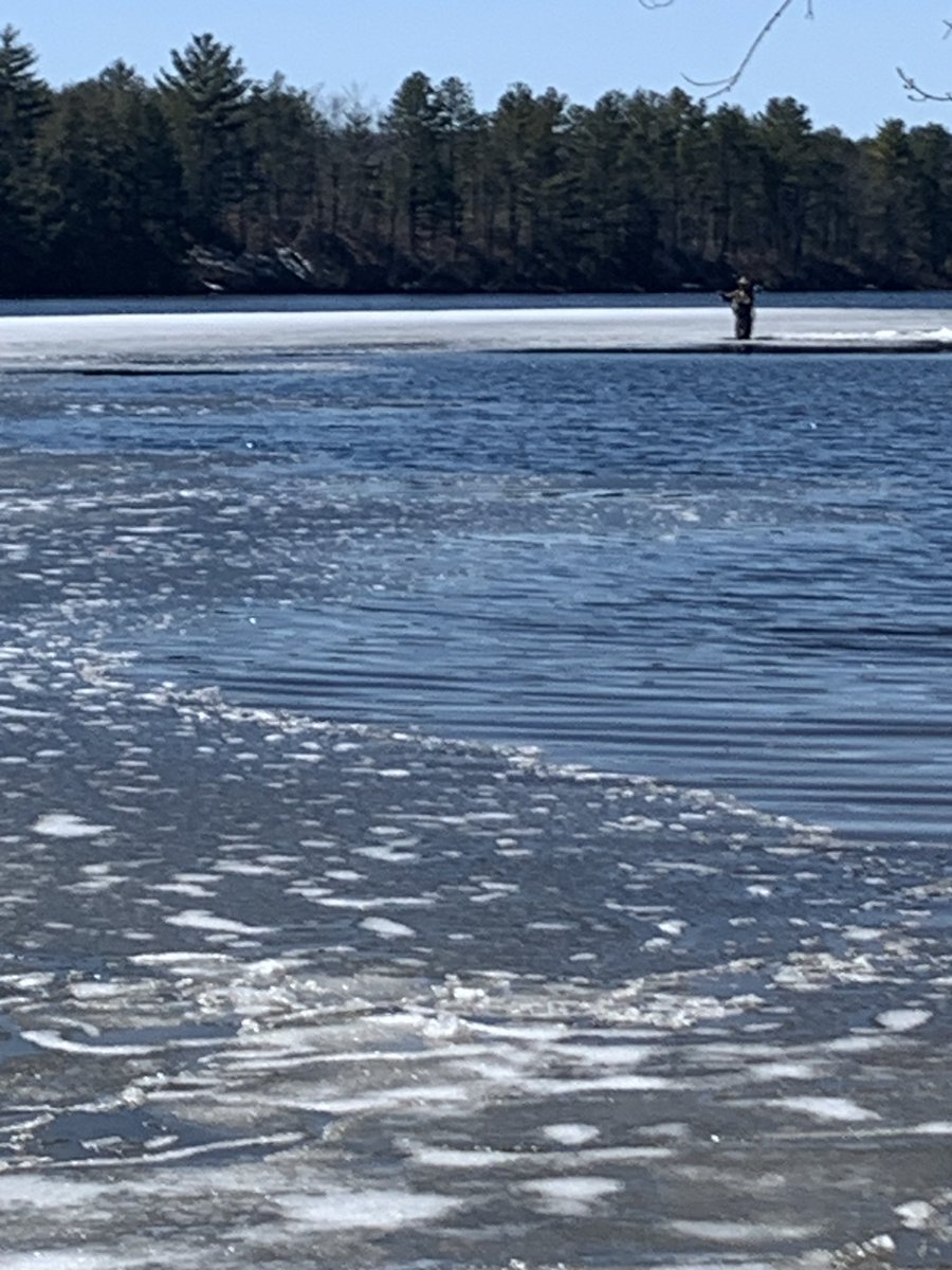 DariAlpi's tweet photo. Dedication - wading through the ice https://t.co/lpCLWMNJm3