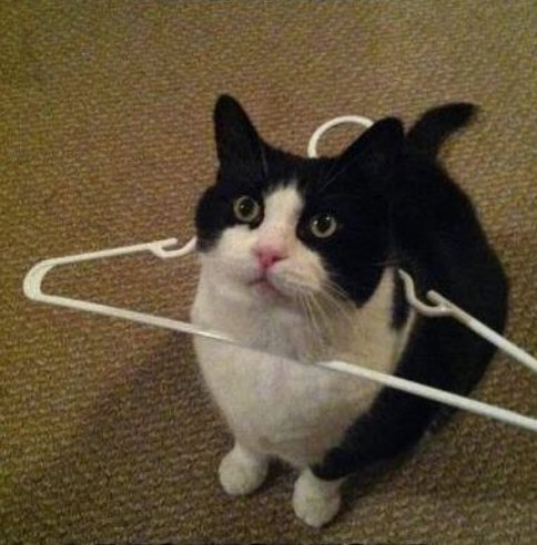 positive side of X 🌞 tweet media