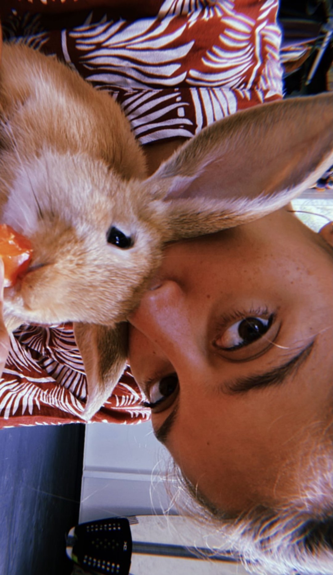 @OrdinalWabbits @Dasfruits ... https://t.co/IDboOXCs1B