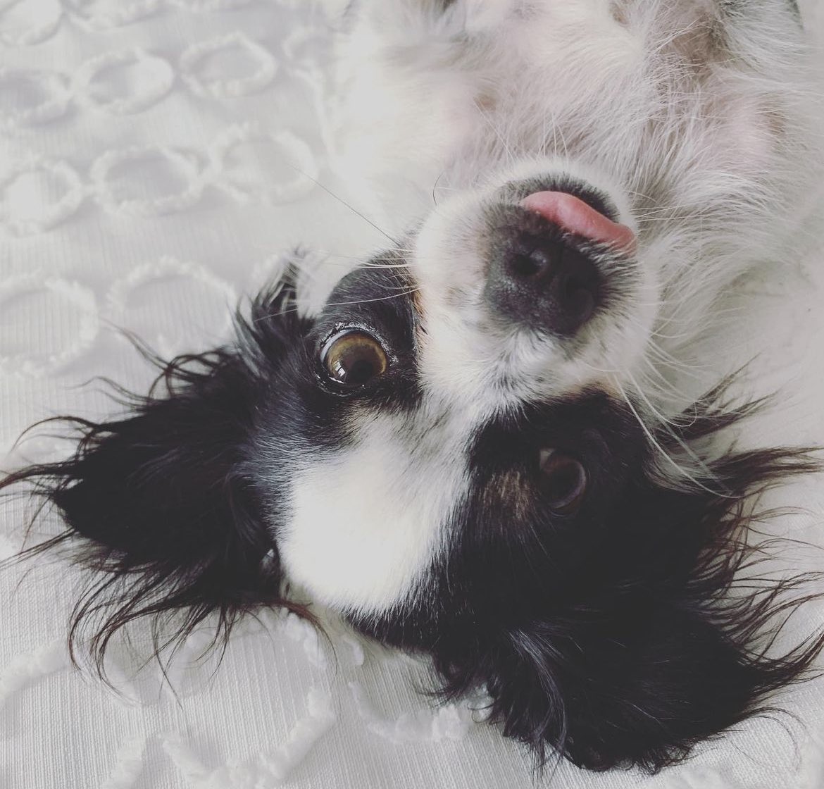 ThreeSpaces tweet media