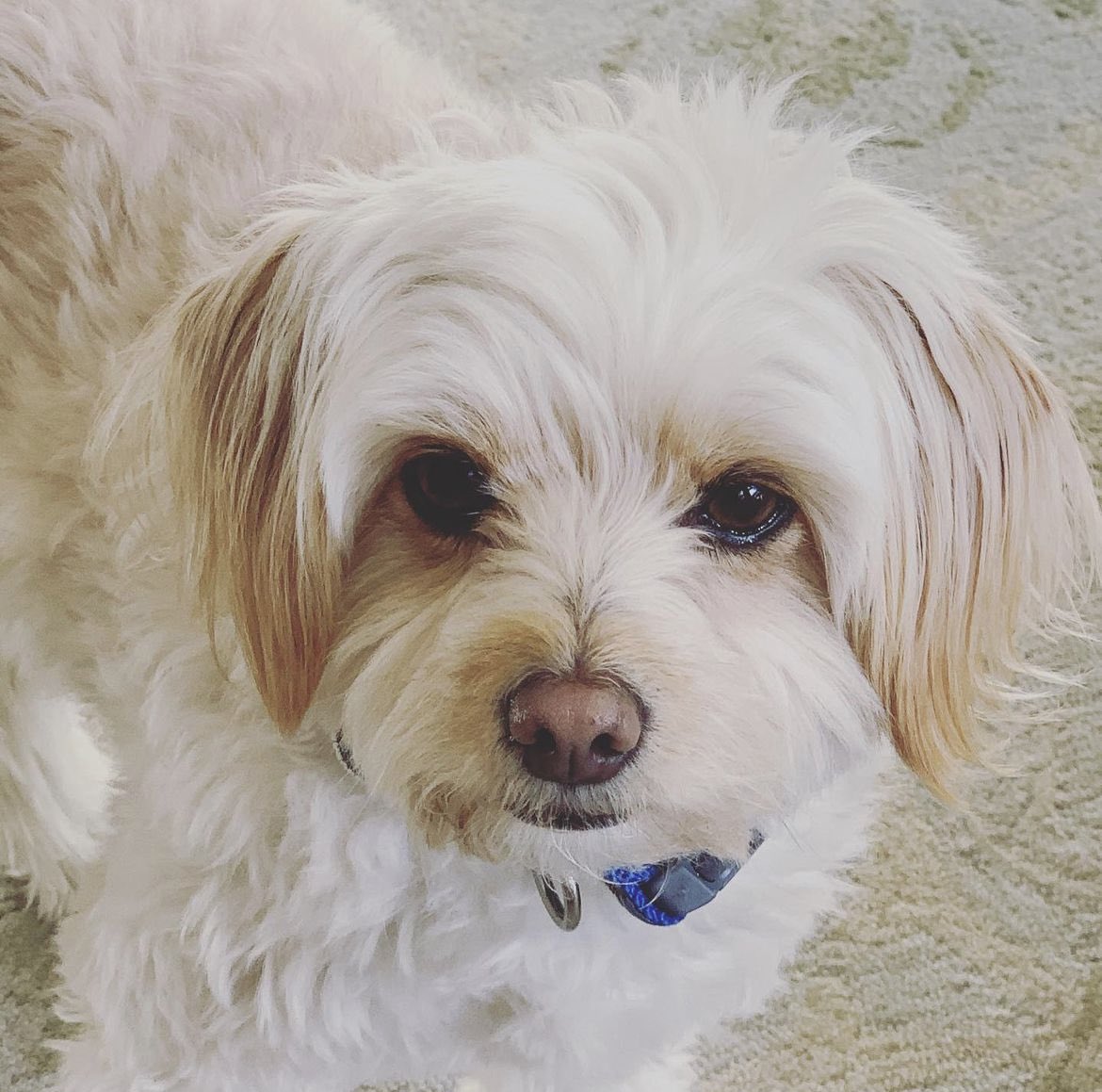 ThreeSpaces tweet media