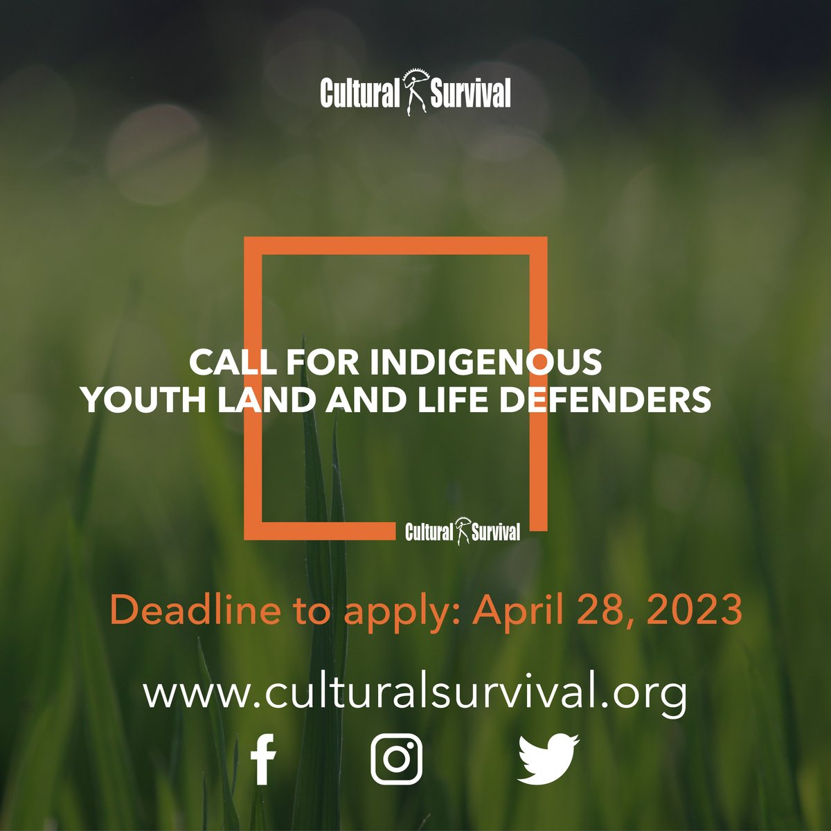 Our call for #IndigenousYouth land and life defenders is now open.  #IndigenousYouth #IndigenousLandDefenders #LiveDefenders #IndigenousStewardship #RightToSayNo #FPIC

Deadline to apply: April 28, 2023. 
culturalsurvival.org/news/calling-i…