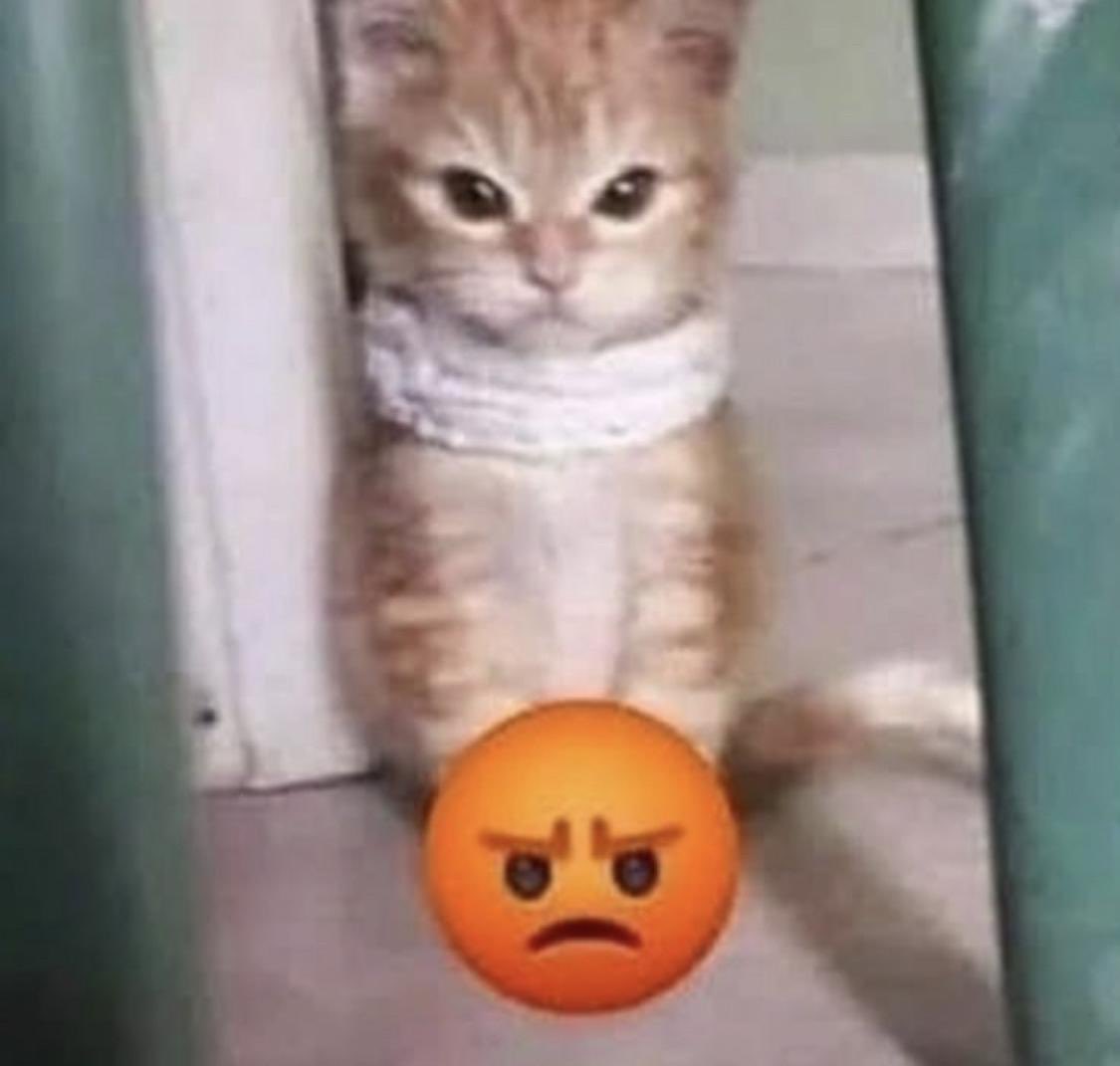 ✩࿐jerry 🌼 (@thatsxnana) on Twitter photo 