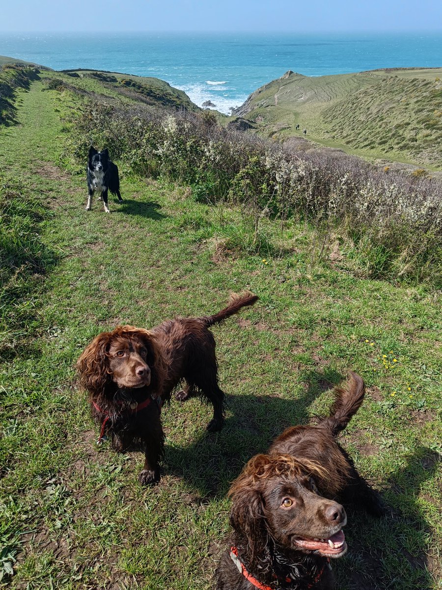 Rob Edlin tweet media