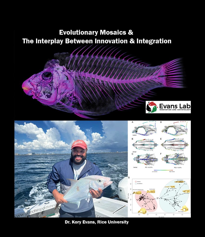 Upcoming OU Department of Biology, Spring 2023 Seminar Series April 12th. Dr. Kory Evans, Rice University. Entitled “Evolutionary Mosaics &amp; The Interplay Between Innovation &amp; Integration.” See details below: