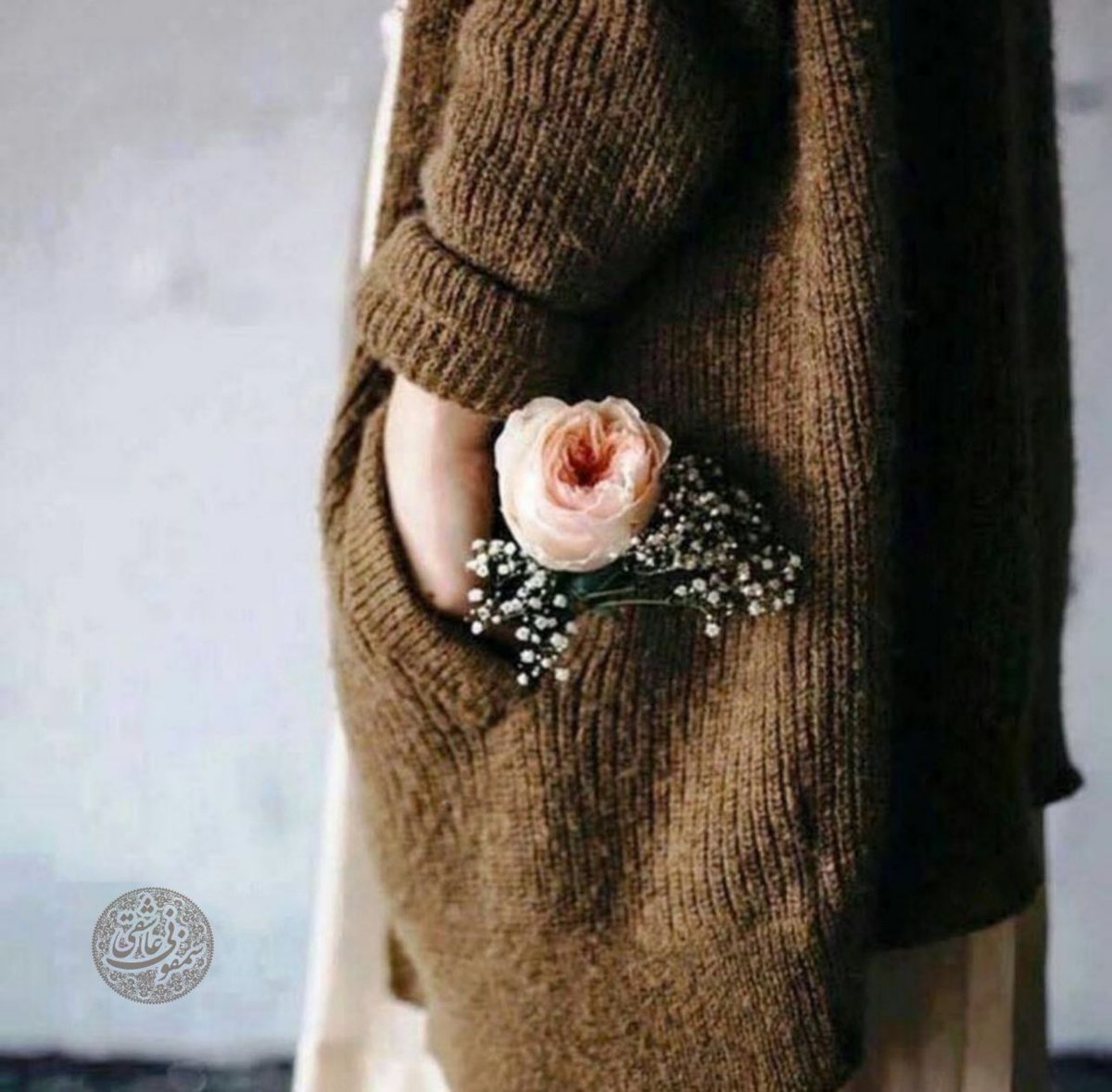 hashyeh's tweet image. دستم را بگیر
جیب‌ها گاهی
عمق تنهایی را نمی‌فهمند...!

#دلآرام_امیرمستوفیان