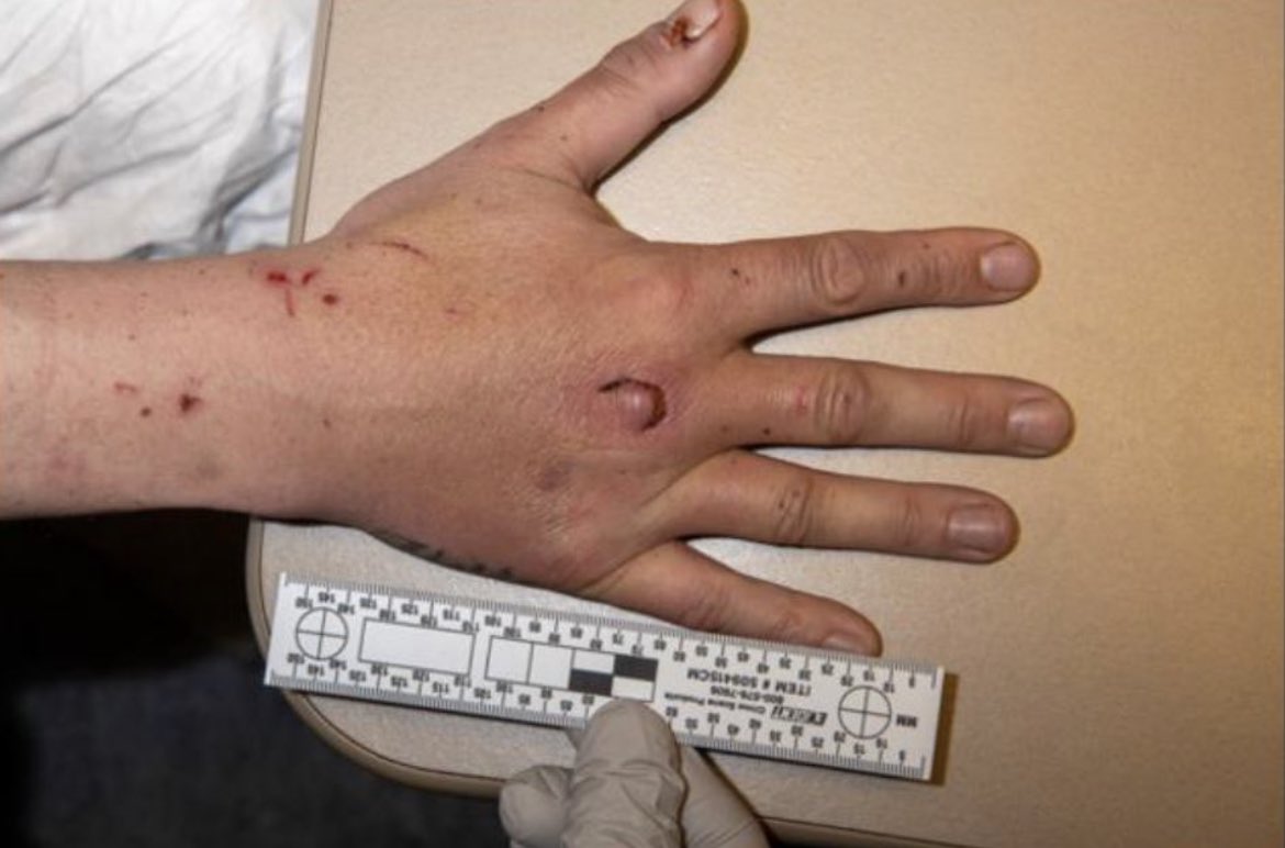 Lynnanne Nguyen on Twitter "Newly released photos of some of the