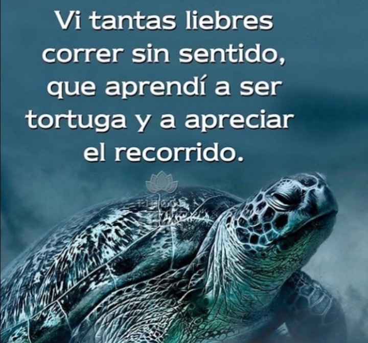 Paulo Coelho Español (@paulocoelhodice) on Twitter photo 