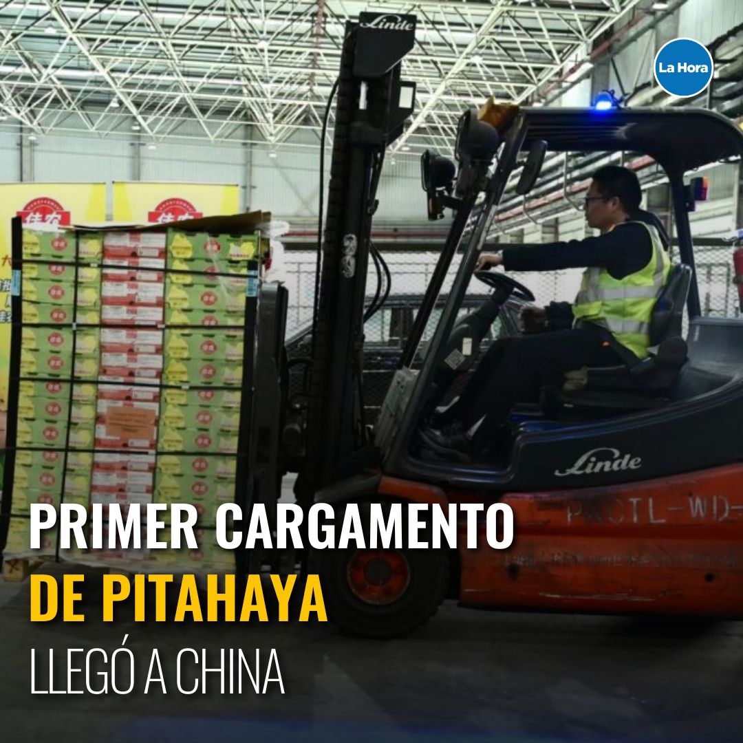 lahoraecuador's tweet image. Esta exportación fue posible después de que China 🇨🇳abriera su mercado para esta exótica fruta ecuatoriana que ya llega a 58 países. Entérate más aquí. 👉 bit.ly/3Ur6kS2