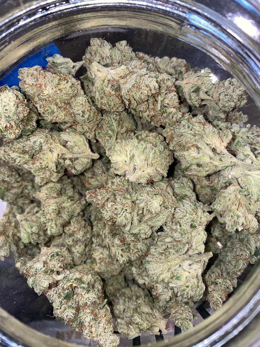 thecdcpdx's tweet photo. So weโve missed about a month of #strainoftheweek but weโre back with your #mondaymotivation! Introducing #Dogwalker #OG grown by one of our favs #Luvli ๐
(With/Without Flash) #ComeSayHigh #dank
#CannabisCommunity #TheCDC #PDX #Oregon #Potlandia #Weed #420community #memberville https://t.co/4jGVZym8Qh