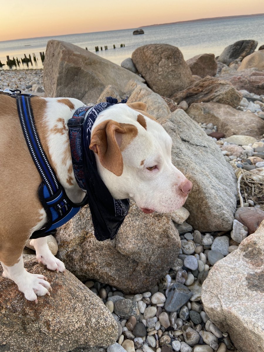 To the beach, Galactus, to the beach!